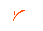 payoneer payoneer
